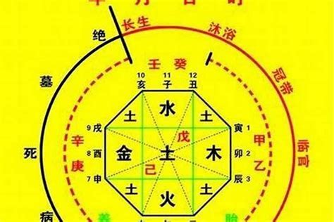 喜木火 忌金水|八字五行忌金是什么意思 – 八字忌金要注意什么